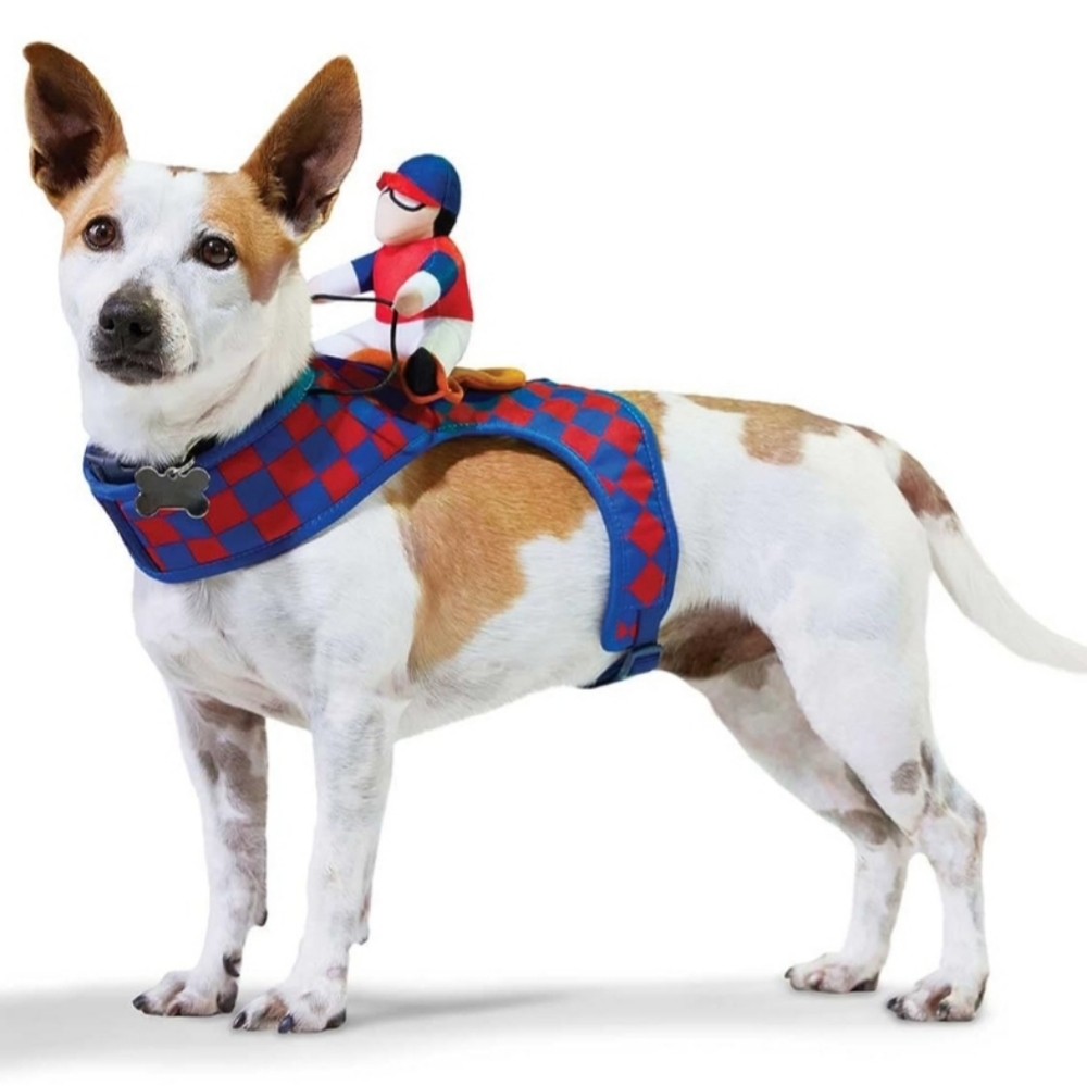 Dog harness costume